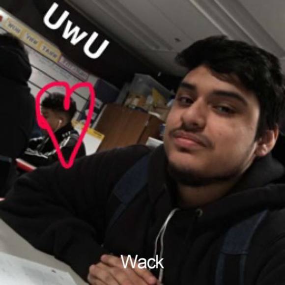 Meet your Posher, Erick - Picture 1 of 1